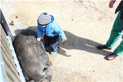 Neee, bleib mal liegen liebes Schweinchen. Hast bestimmt einen harten Tag hinter Dir. IMG_4240.jpg