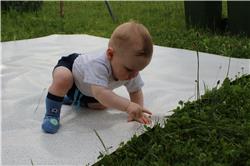 Schon wieder dieses ... wie war das gleich ... Gras. Wofür das wohl gut ist? IMG_1499.jpg