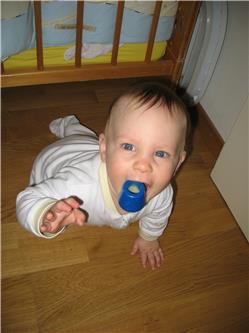 Zum Krabbeln brauch ich beide Hände IMG_3008.jpg