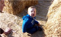 Mal probieren ... IMG_20140926_171436.jpg