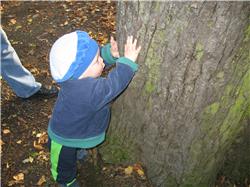 Wenn ich gross bin, werde ich bestimmt Baumumschubser IMG_3334.jpg