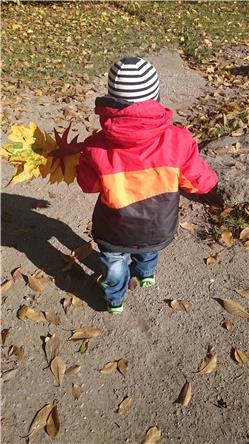 Heute sammle ich mal wieder Blätter DSC_0709.jpg