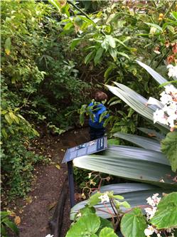 Ihr findet mich nicht :) IMG_0526.jpg