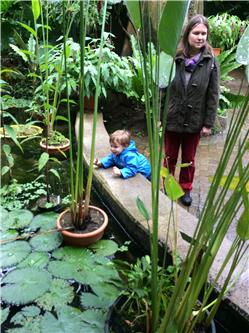 Guckt mal die schönen Blätter im Wasser IMG_0539.jpg