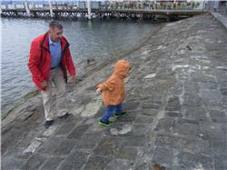 Opa, schnell da weg! Die Schwäne greifen an! RIMG0150.jpg